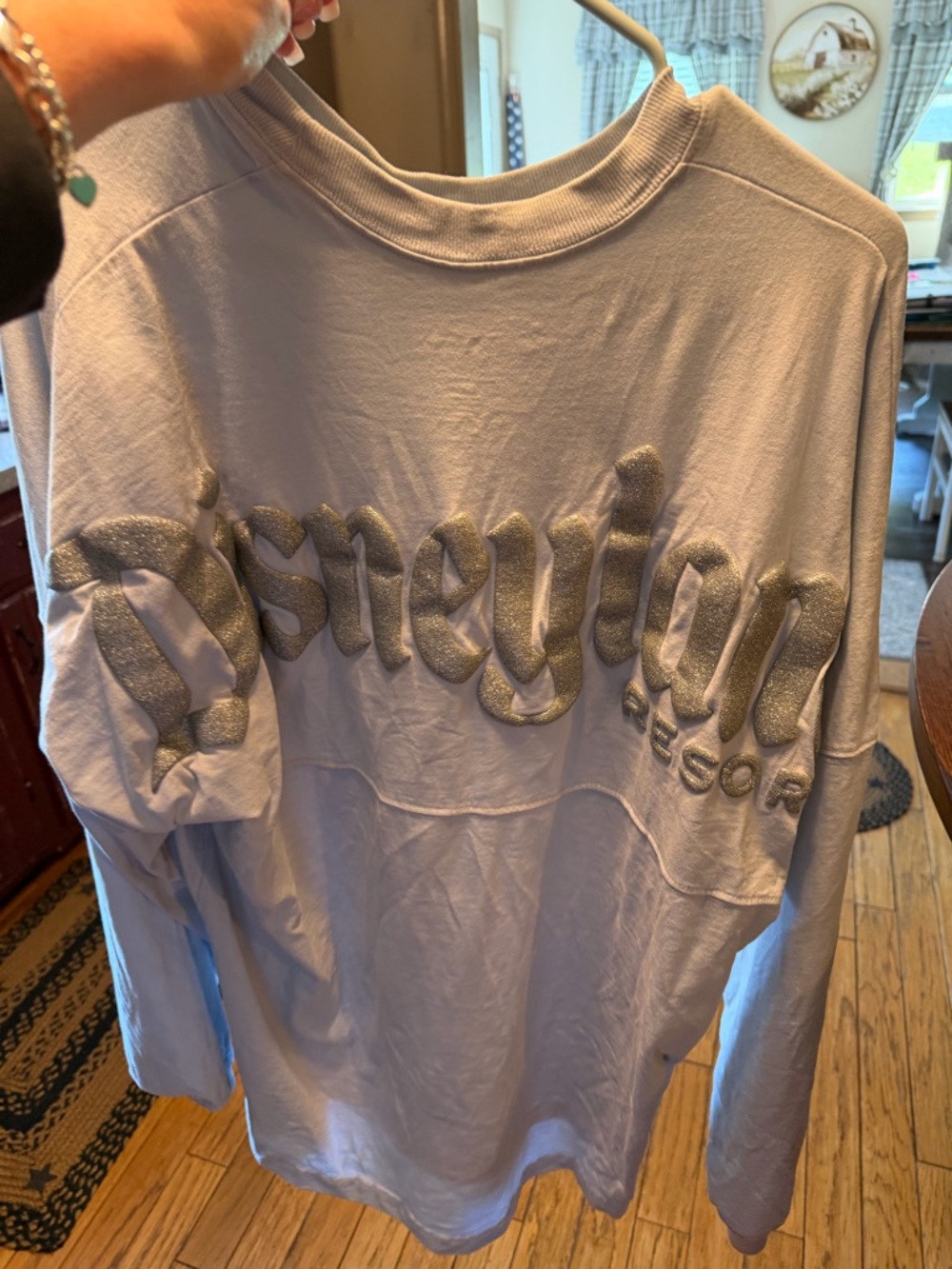 Light Blue Disneyland Graphic Sweatshirt with Metallic Script Spirit Jersey Med